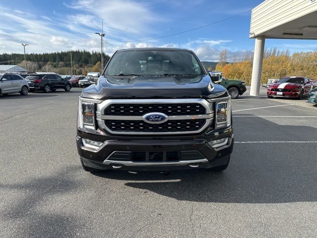 2021 Ford F-150 Platinum