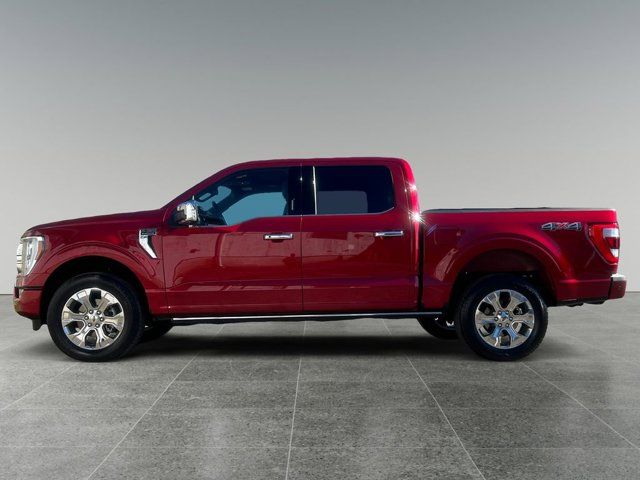 2021 Ford F-150 Platinum