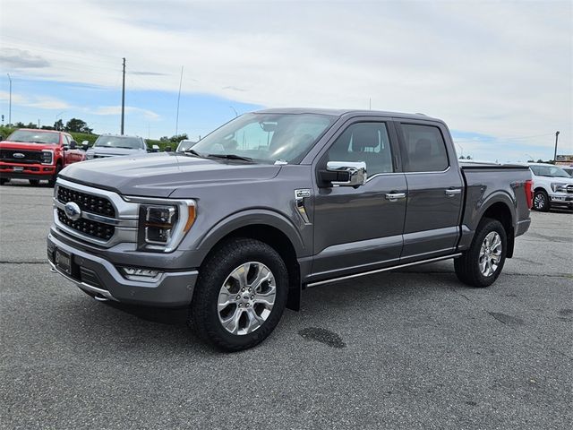 2021 Ford F-150 Platinum