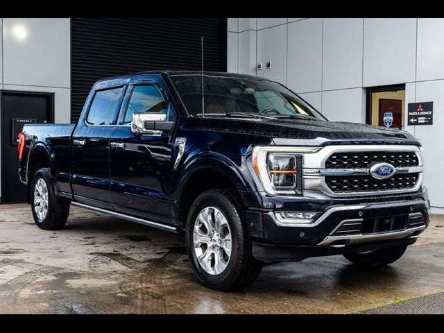 2021 Ford F-150 Platinum