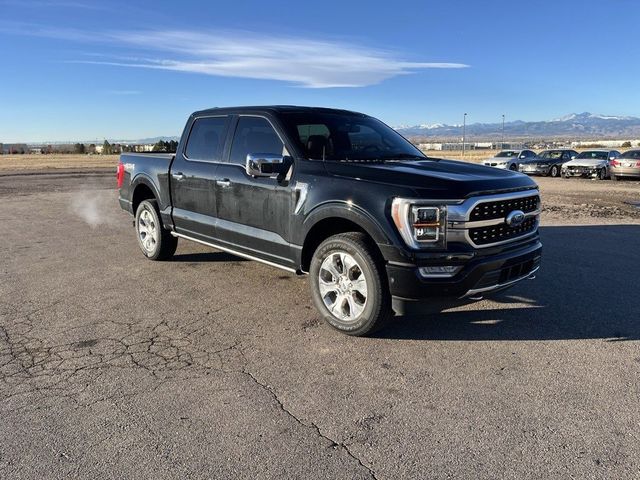 2021 Ford F-150 Platinum