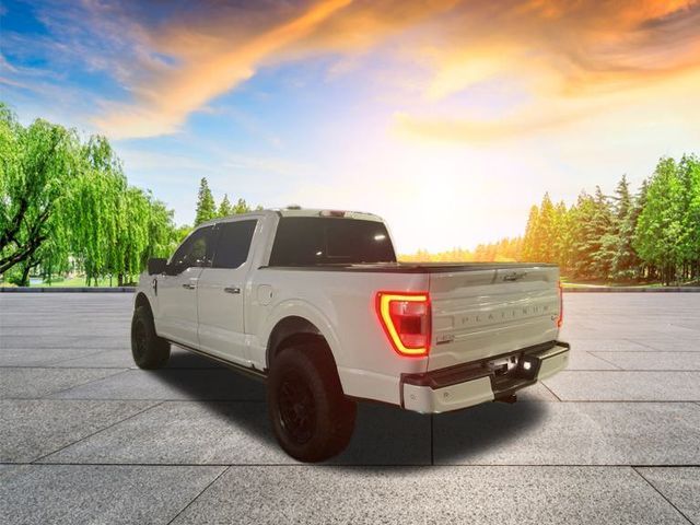 2021 Ford F-150 Platinum