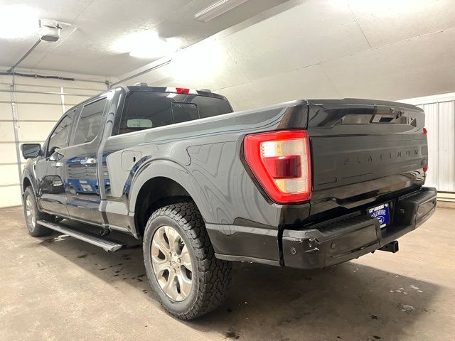 2021 Ford F-150 Platinum