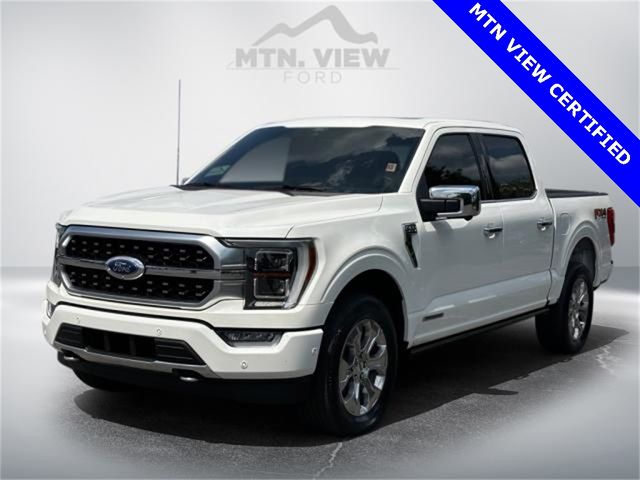 2021 Ford F-150 Platinum