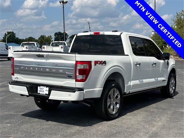 2021 Ford F-150 Platinum