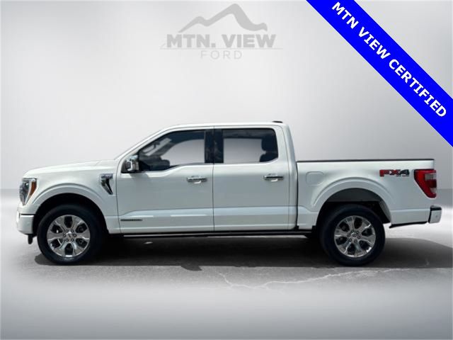 2021 Ford F-150 Platinum