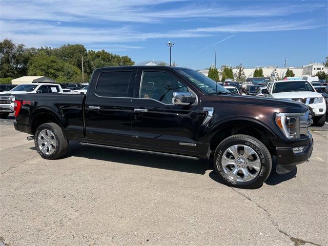 2021 Ford F-150 Platinum