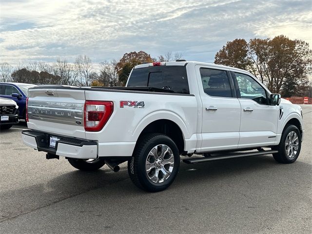 2021 Ford F-150 Platinum