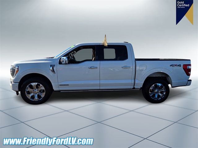 2021 Ford F-150 Platinum