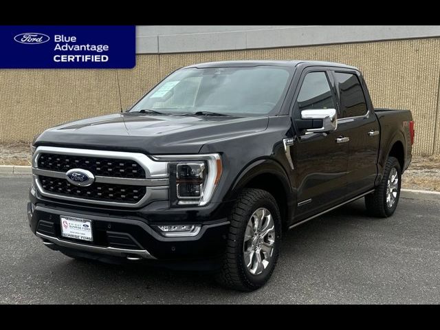 2021 Ford F-150 Platinum