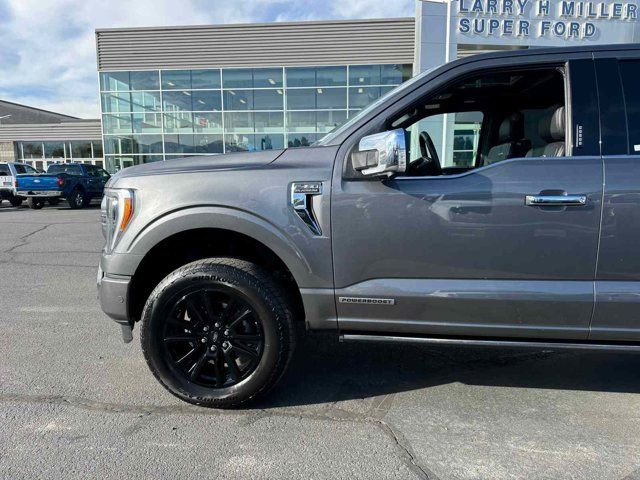 2021 Ford F-150 Platinum