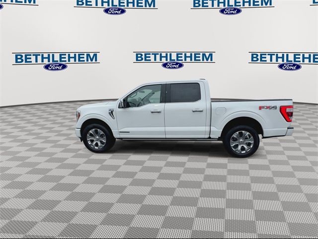 2021 Ford F-150 Platinum