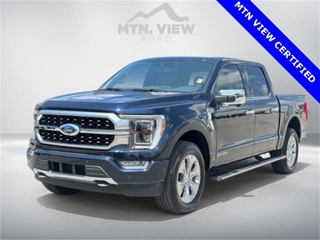 2021 Ford F-150 Platinum