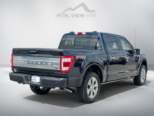 2021 Ford F-150 Platinum