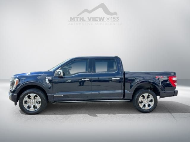 2021 Ford F-150 Platinum