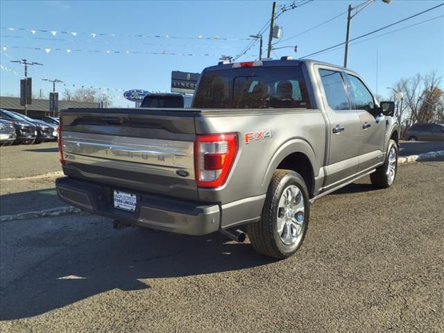 2021 Ford F-150 Platinum