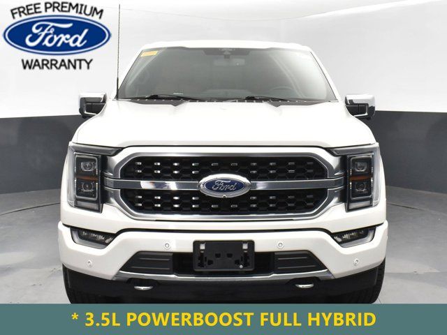 2021 Ford F-150 Platinum