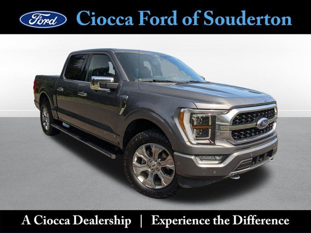 2021 Ford F-150 Platinum