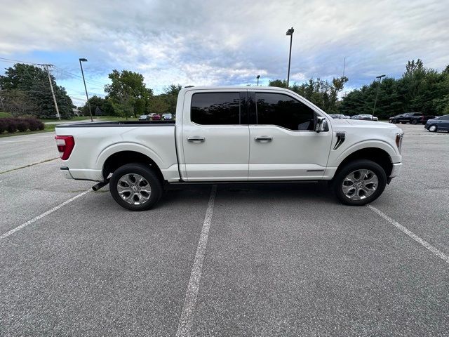 2021 Ford F-150 Platinum