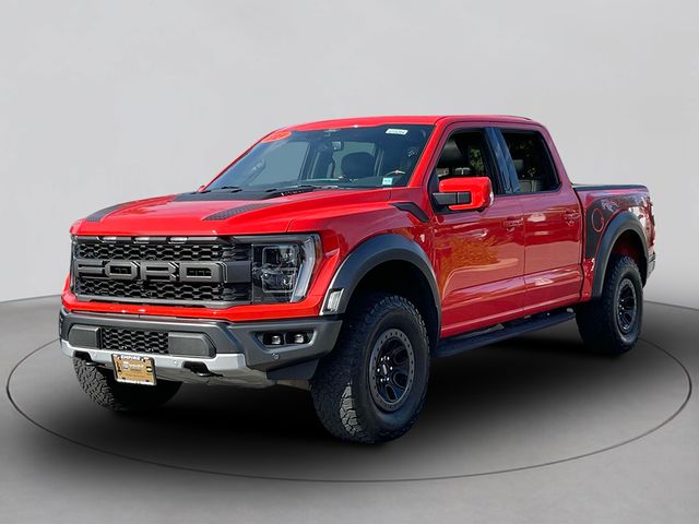 2021 Ford F-150 Raptor