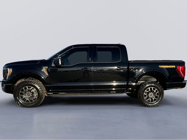 2021 Ford F-150 Tremor