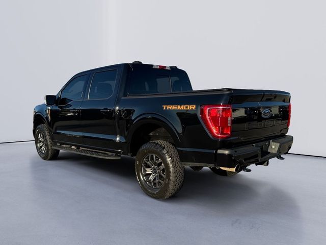 2021 Ford F-150 Tremor