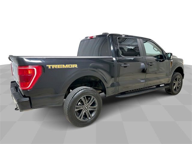 2021 Ford F-150 Tremor