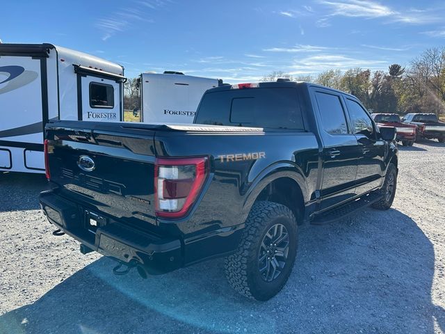 2021 Ford F-150 Tremor