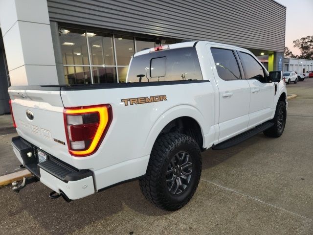 2021 Ford F-150 Tremor