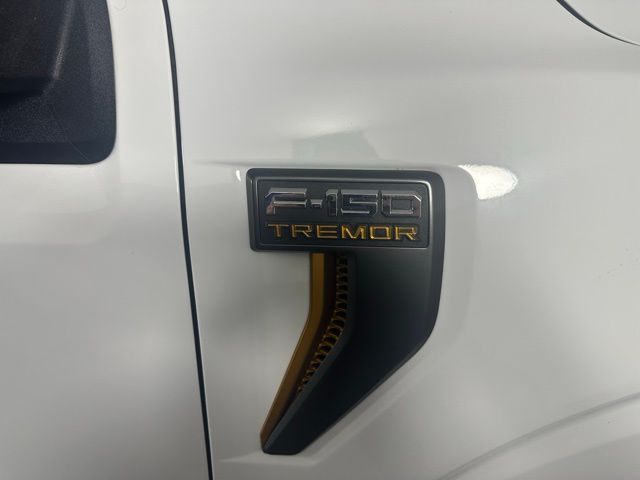 2021 Ford F-150 Tremor