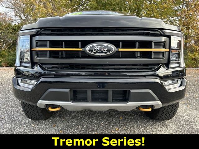 2021 Ford F-150 Tremor