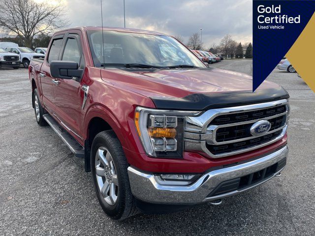 2021 Ford F-150 XLT