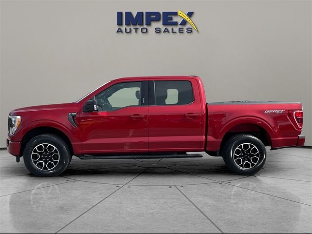 2021 Ford F-150 XLT