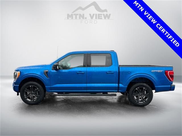 2021 Ford F-150 XLT