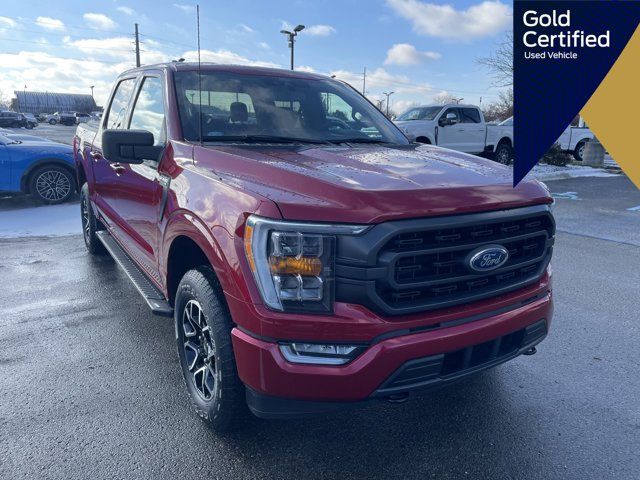 2021 Ford F-150 XLT