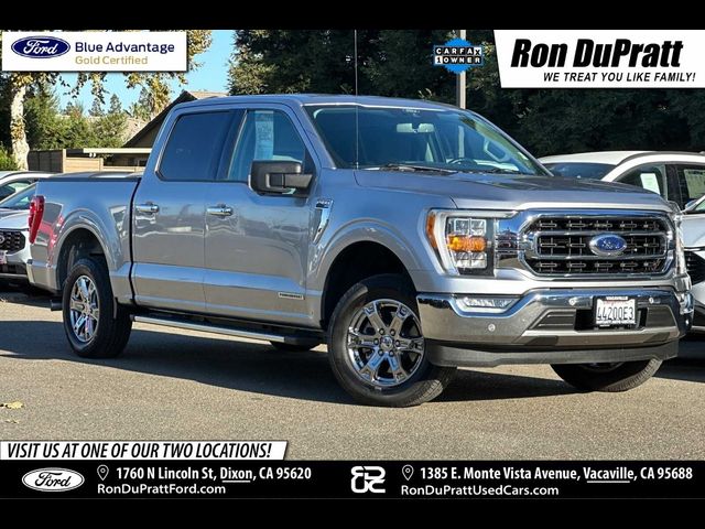 2021 Ford F-150 XLT