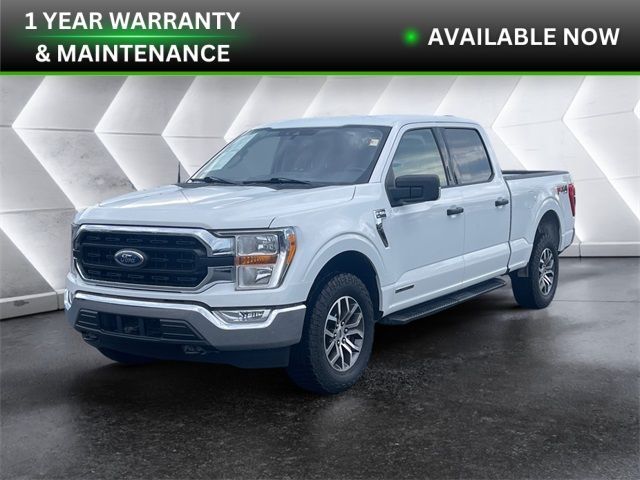 2021 Ford F-150 XLT