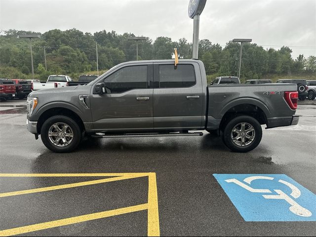 2021 Ford F-150 XLT