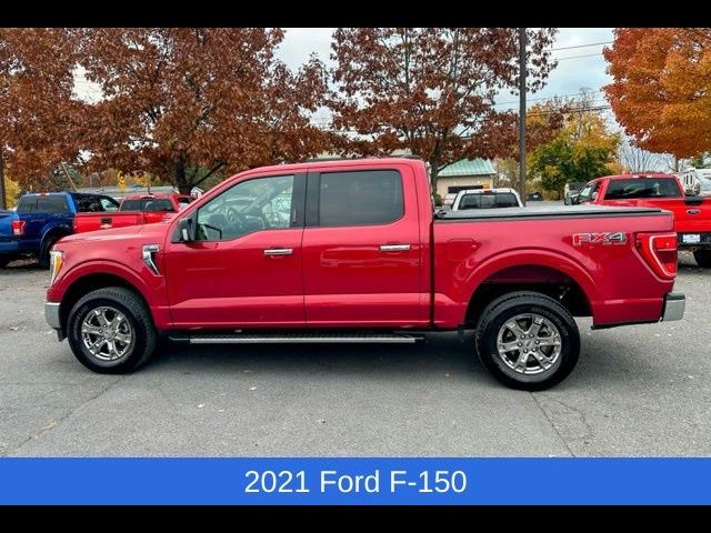 2021 Ford F-150 XLT