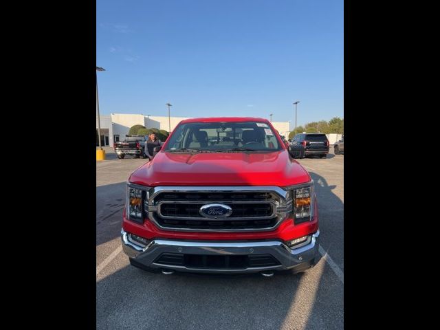 2021 Ford F-150 XLT