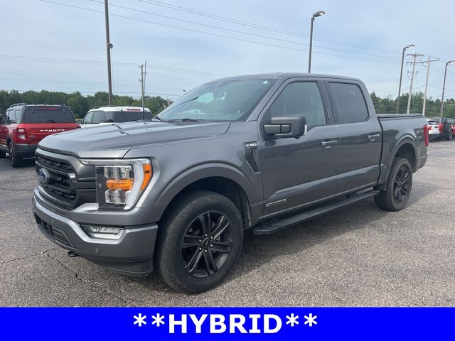 2021 Ford F-150 XLT