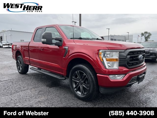 2021 Ford F-150 XLT