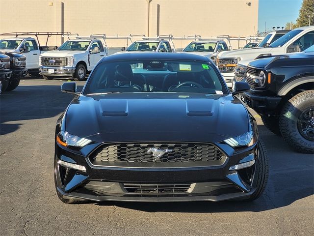 2021 Ford Mustang 