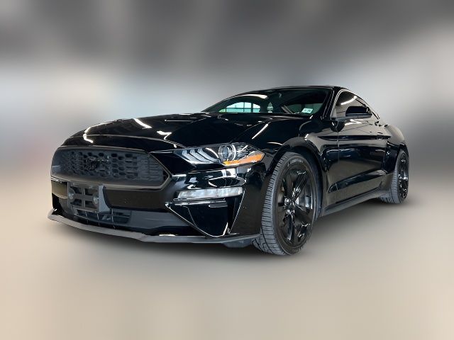 2021 Ford Mustang EcoBoost