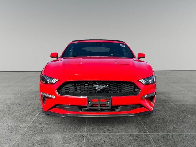 2021 Ford Mustang EcoBoost