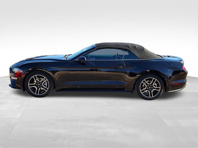 2021 Ford Mustang EcoBoost