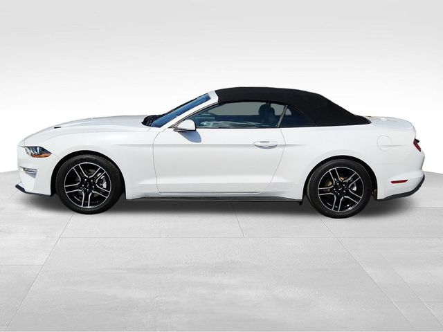 2021 Ford Mustang EcoBoost