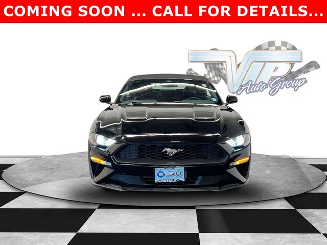 2021 Ford Mustang 