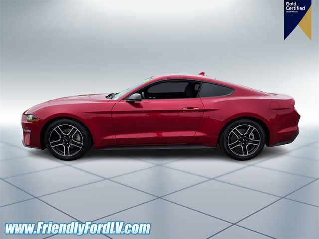 2021 Ford Mustang EcoBoost