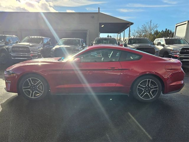 2021 Ford Mustang EcoBoost